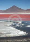 dreamstime.com Colorada