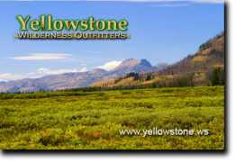 yellowstone.ws Colter