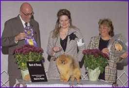 risenshinepoms.com Coltin