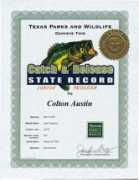 blog.mysanantonio.com Coltons