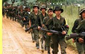 resistir.info Combatente