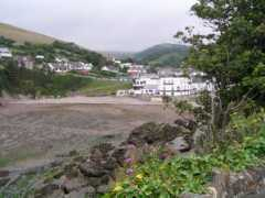 Combe