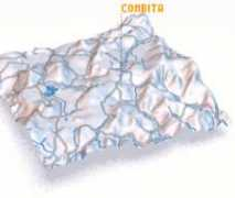 nona.net Combita