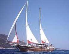 bluecruise.org Comez