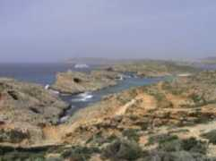 Comino