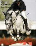 Comondo