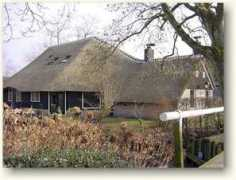 rietpromotie.nl Compagner