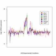 bioconductor.org Compendium