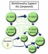 blog.theseed.org Component