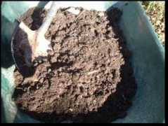 tbray.org Compost