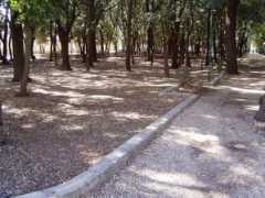 panoramio.com Comunale