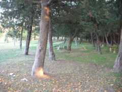 panoramio.com Comunale