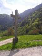 Concei