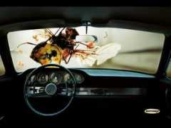 adsoftheworld.com Conceptor