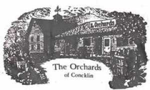 larchmontgazette.com Concklin