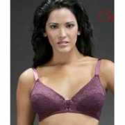 sexynursingbra.com Condessa