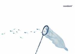 art.bilkent.edu.tr Condomi