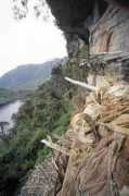 perutoptours.com Condores