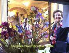 zoomedia.it Condotta