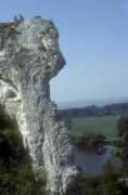 Conelle