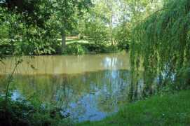 geograph.org.uk Conington