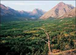 ourplanet.com Conseil