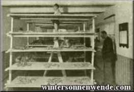 wintersonnenwende.com Constancin