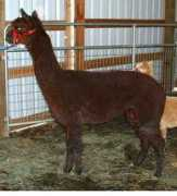 et-farms.com Consuella