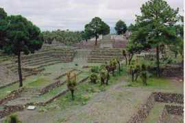 inaoep.mx Contona