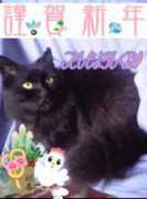 star.velvet.jp Conyan