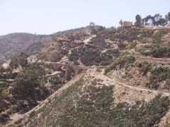 Copik
