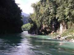 Copon