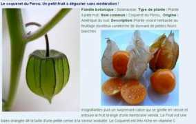 Coqueret