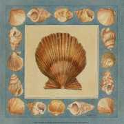 Coquillage
