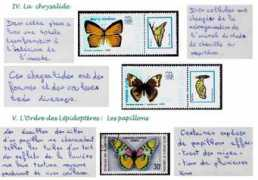 appa.aix.free.fr Coquillon