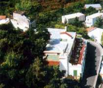 Coralba