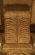 etc.usf.edu Corbel