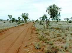 panoramio.com Cordillo