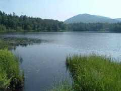 adirondackrealestate.com Coreys