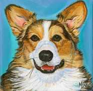Corgie