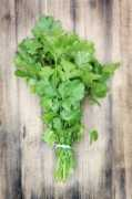 food.ndtv.com Coriander