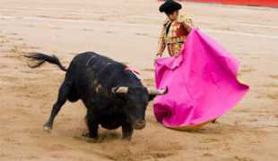 descopera.ro Corida