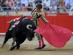 Coride