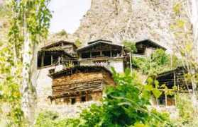 artvindernegi.com Cornak