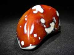carionmineraux.com Cornaline