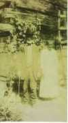 Cornelious