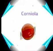 Corniola