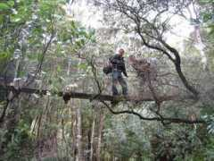 blogs.warwick.ac.uk Coromandel