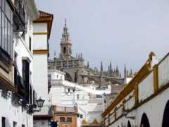sevillaweb.tripod.com Coronil
