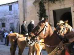 wiki.worldflicks.org Corraine